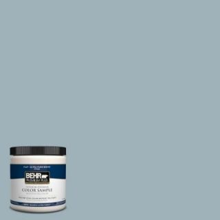 BEHR Premium Plus 8 oz. #540E 3 Blue Fox Interior/Exterior Paint Sample 540E 3PP