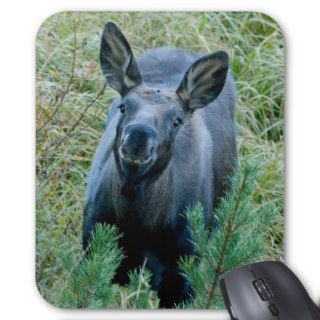 Smiling Moose Mouse Pad