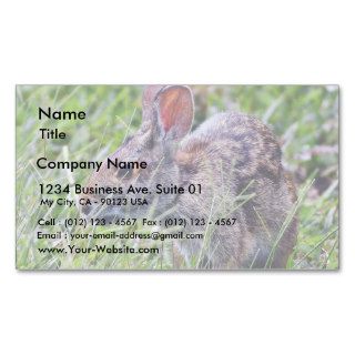 Bunny Bunnies Rabbits Business Card Template
