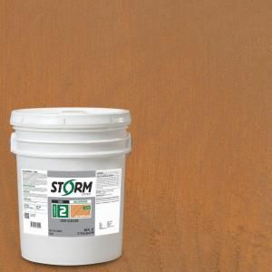 Storm System Category 2 5 gal. Redwood Forest Exterior Semi Transparent Dual Dispersion Wood Finish 225C119 5