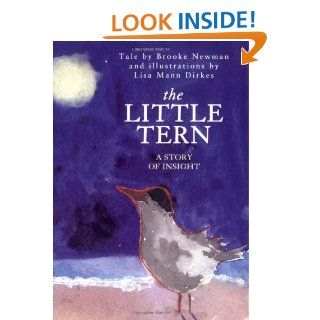 The Little Tern A Story of Insight Brooke Newman, Lisa Mann Dirkes 9781587680168 Books
