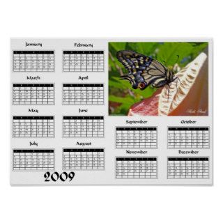Swallowtail butterfly   2009 Calendar Posters