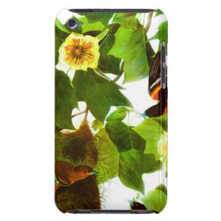 Vintage Spring Day Birds & Flowers iPod Touch Cases