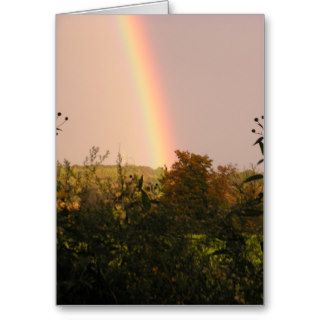 Rainbow Walk II Cards