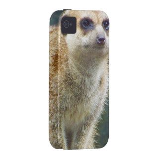 Cute Meerkat at Attention, Kansas City Zoo iPhone 4 Cases