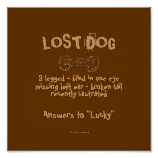 Lost Dog Framed Print