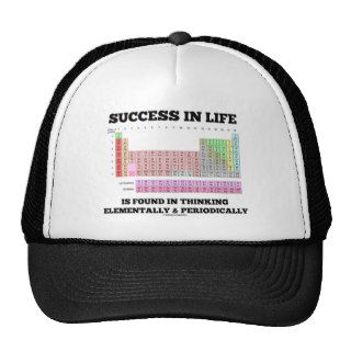 Success In Life Is Found In Thinking Elementally Mesh Hats