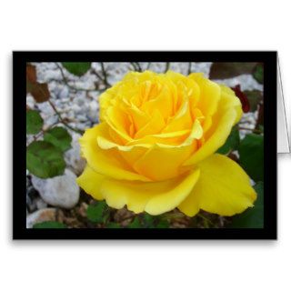 Beautiful Yellow Rose with Natural Garden Backgrou Greeting Card