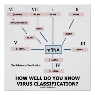 How Well Do You Know Virus Classification? Poster
