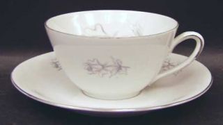 Winterling   Bavaria Wig2 Flat Cup & Saucer Set, Fine China Dinnerware   Gray Ro