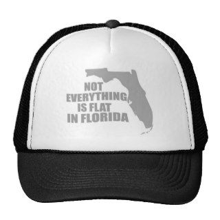 Not Everything is flat in Florida Mesh Hat