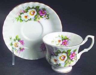 Royal Albert Summertime Series Footed Cup & Saucer Set, Fine China Dinnerware  
