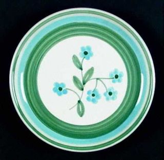 Caleca Meadow Salad Plate, Fine China Dinnerware   Various Color Bands &/Or Flow