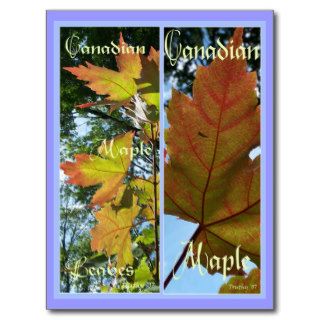CANADIAN MAPLE LEAVES BOOKMARKS POSTCARDS