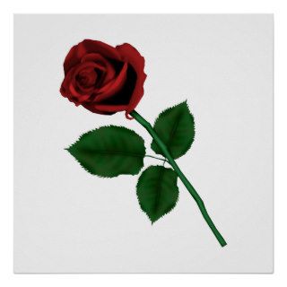 Single Rose Poster