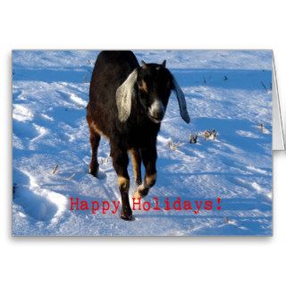 Happy Holidays Nubian Goat Cards