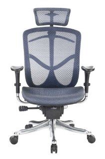 Eurotech Fuzion High Back Blue Mesh Chair w/ Aluminum Base   Executive Chairs