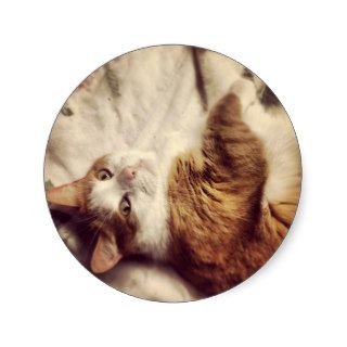 cute Cat Round Sticker