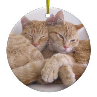 Orange Tabby Brothers Ornament