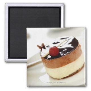 Ornate cheesecake on plate with coffee cup in fridge magnets