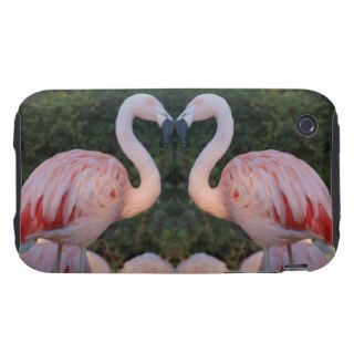 Cute Kissing Flamingo Photography Tough iPhone 3 Covers