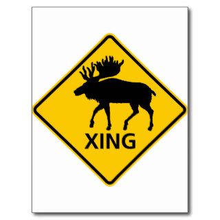 Moose Crossing Highway Sign Post Card