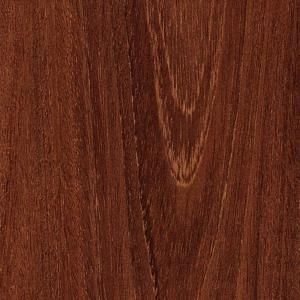 TrafficMASTER Raintree Acacia 12 mm Thick x 4 31/32 in. Wide x 50 25/32 in. Length Laminate Flooring (14 sq. ft. /case) FB1721CWR3137SO001