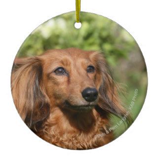 Red Long haired Miniature Dachshund Christmas Ornaments