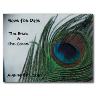 Romantic Peacock Feathers Save the Date Post Card