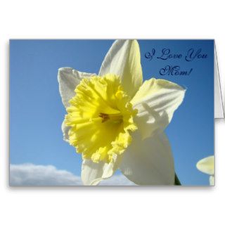 I Love You Mom Daffodil Flower Spring Blue Sky Cards