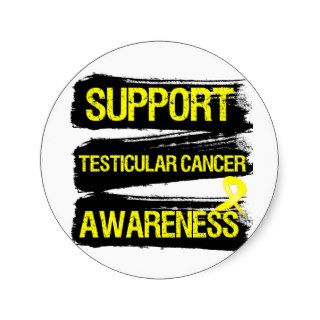 Support Testicular Cancer Awareness Grunge Round Stickers