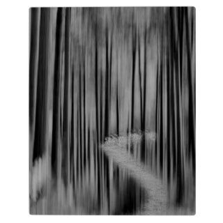 AUTUMN FOREST ABSTRACT VERSION 2 Display Plaques