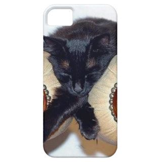 Relaxed Black Cat Sleeping Between Two Chairs iPhone 5 Cover