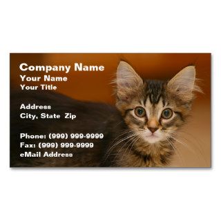 Cute Kitten Against a Brown Background Business Card Templates