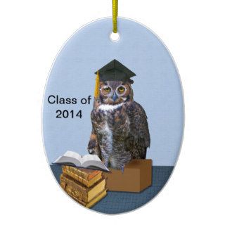 Humorous Class of 2014 Graduation Owl Christmas Ornaments