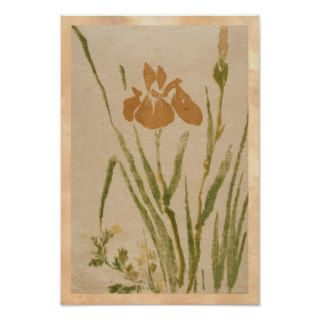 Classic vintage japanese sumi e flower floral art poster