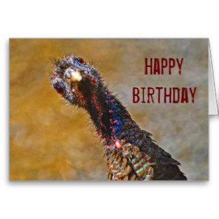Funny Happy Birthday You Turkey Cards