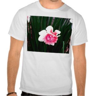 Pink and White Double Daffodil T shirts