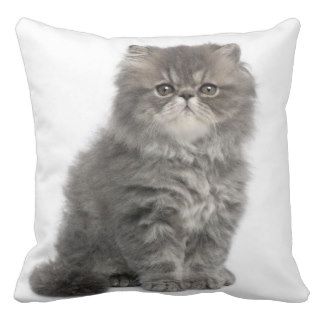 Persian Kitten (2 months old) sitting Throw Pillows