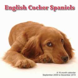 English Cocker Spaniels 2010 Calendar General