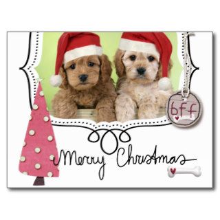 Pet Christmas Photo Card Postcards