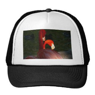 flaming bird fire red prod mesh hats