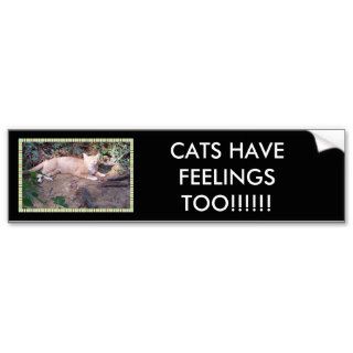 CATS HAVE FEELINGS TOO BUMPER STICKER