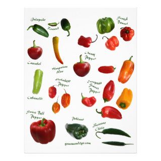 Chili Pepper ID Flyer Design