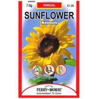 Ferry Morse Sunflower Mammoth Grey Stripe Seed 8064