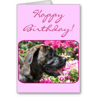 Happy birthday Mastiff Puppy greeting card