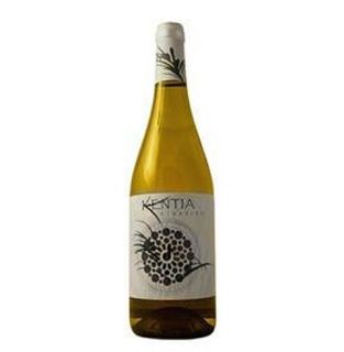 Orowines Albarino Kentia 2010 750ML Wine