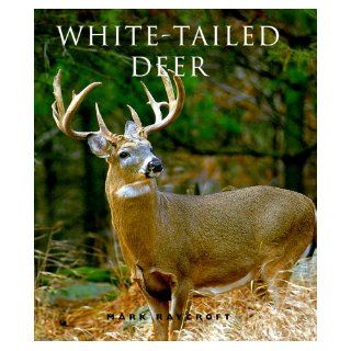 White Tailed Deer Mark Raycroft 9781552093757 Books
