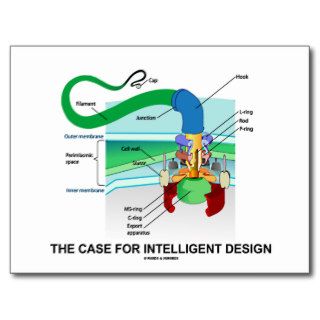 The Case For Intelligent Design (Flagellum) Post Cards