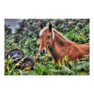 Palomino Flaxen maned New Forest Horse Poster